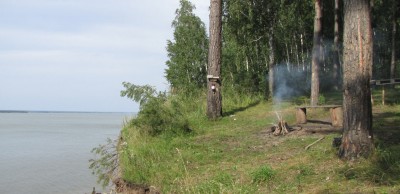 08007.jpg