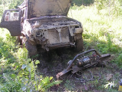 лес.jpg
