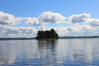 Изменение размера IMG_8525.JPG