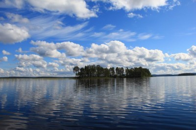 Изменение размера IMG_8528.JPG