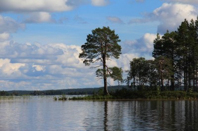Изменение размера IMG_8529.JPG