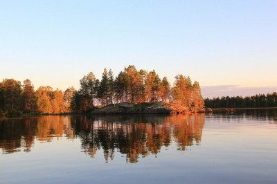 Изменение размера IMG_8742.JPG