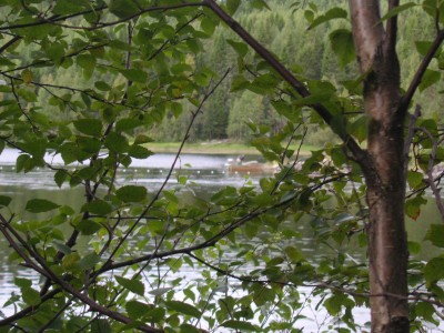 PICT0437.JPG