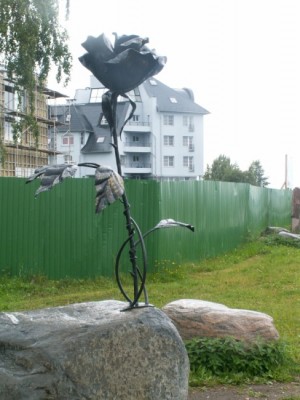 Роза.JPG