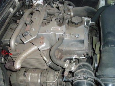P9043804-EGR.JPG