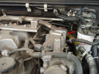 P9043795-EGR.JPG
