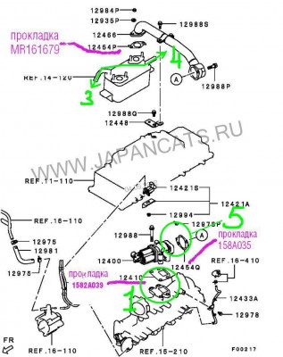 EGR01_01.JPG