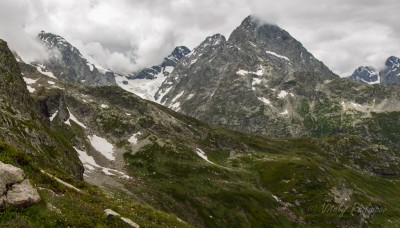IMG_2803.jpg