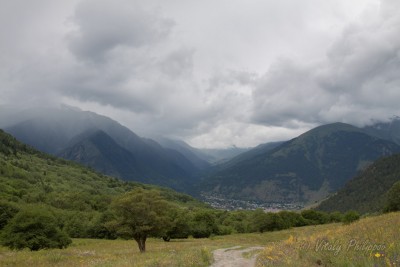 IMG_2482.jpg