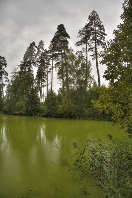 yuhor hdr IMG_8731_29_30.jpg