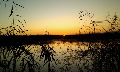 IMAG0110.jpg