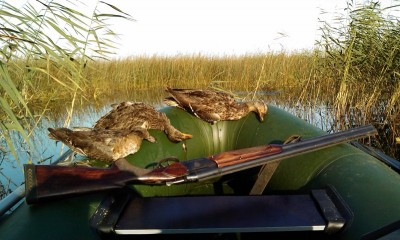 IMAG0124.jpg