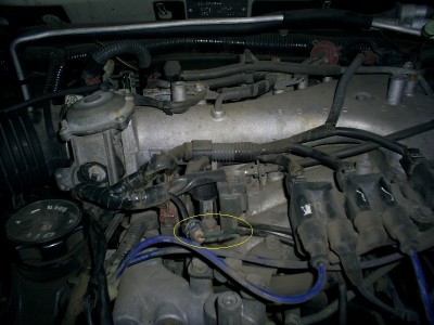 S4028754.JPG