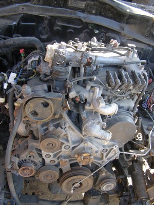 P9205693.JPG