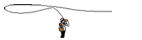 fly.gif