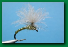tn_parachute_puff_emerger.jpeg