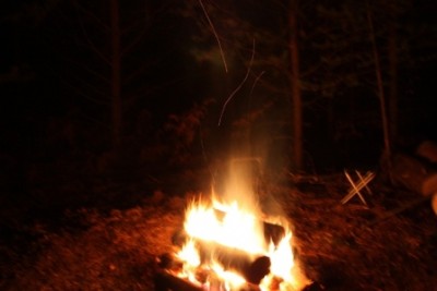 IMG_3166.jpg