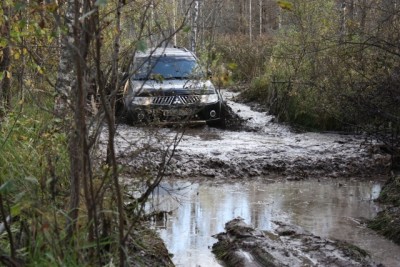 IMG_2786.jpg