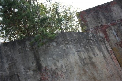 IMG_2527.jpg