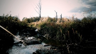 IMG_0189.JPG