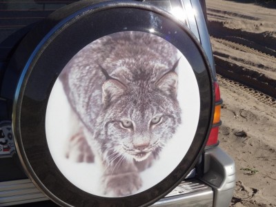 DSC00419.JPG (119.37 КБ) 3729 просмотров внешний вид 1