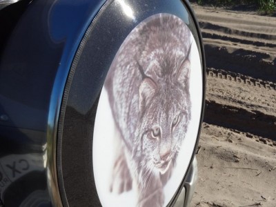 DSC00420.JPG (111.71 КБ) 3807 просмотров внешний вид 2