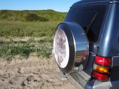 DSC00421.JPG (147.91 КБ) 3729 просмотров внешний вид 3