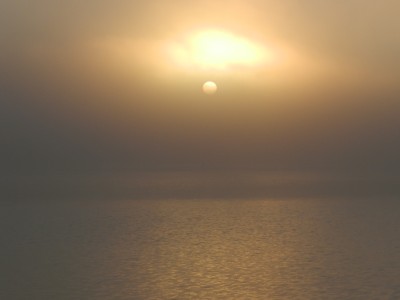 DSCN2306.jpg