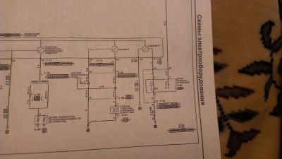 IMAG0177.jpg