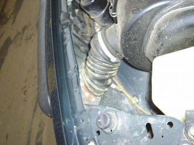 S3010105.JPG