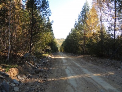 98c774u-960.jpg