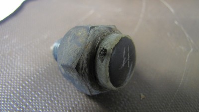 IMG_0231.JPG
