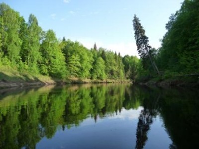 P1010134.jpg