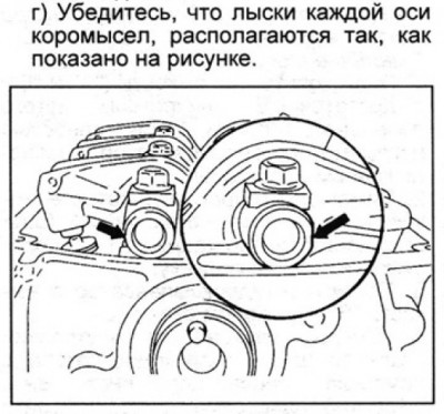 лыски.jpg