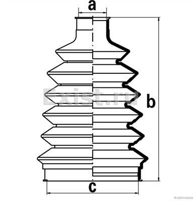 Img.jpg
