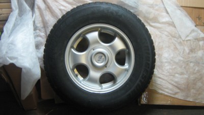 IMG_6781.JPG