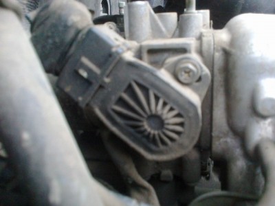 26102012219.jpg