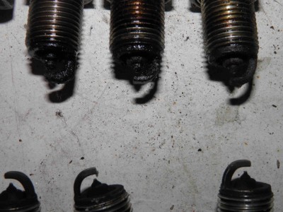PA241810.JPG