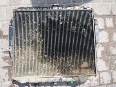 P7030002r3.jpg