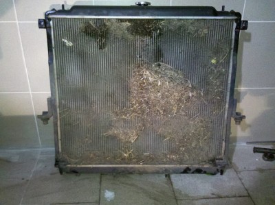 2012-03-28_19-37-30_960.jpg