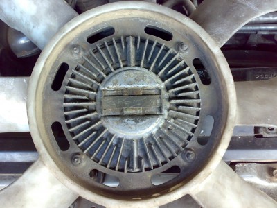 07072010497.jpg