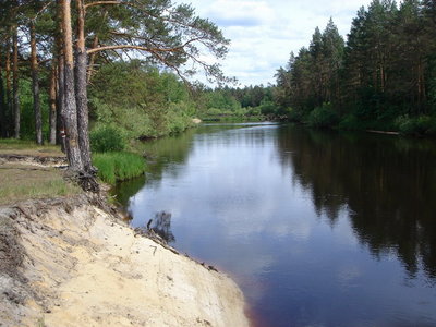 DSC02620_small.jpg