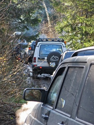 IMG_7350_2.jpg