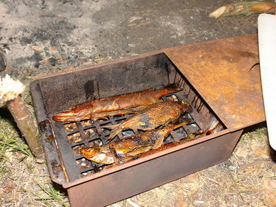 DSC06645_small.jpg