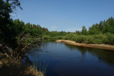 DSC06567_small.jpg