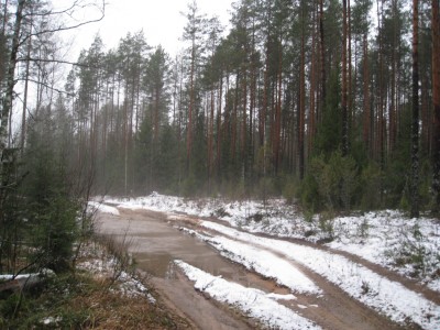 IMG_2078.JPG