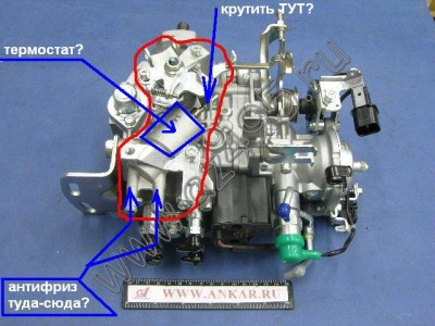 Тнвд.jpg