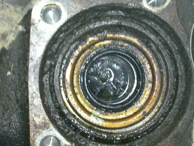 20121110_007.jpg