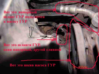 file копия.jpg