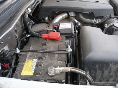 P1010229-2.JPG